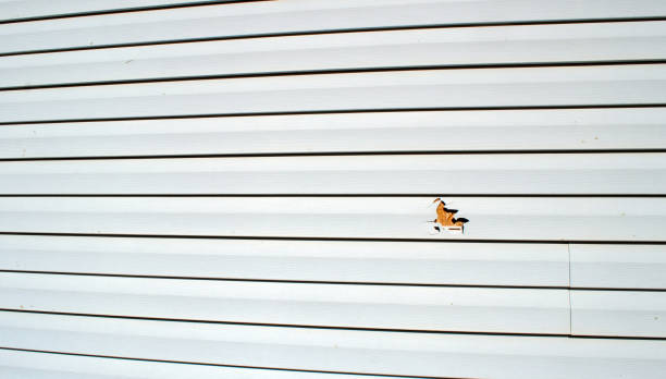 La Riviera, CA Siding Installation & Repair Company